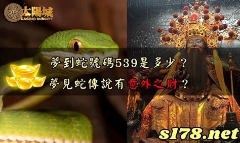 看到蛇要簽幾號|【看到蛇是幾號】看到蛇號539怎簽？驚喜！蛇代表吉。